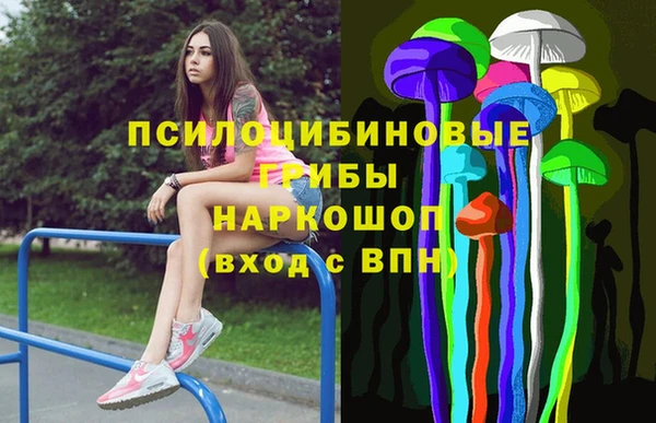 дмт Алексин