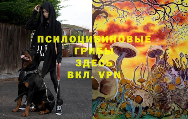 дмт Алексин