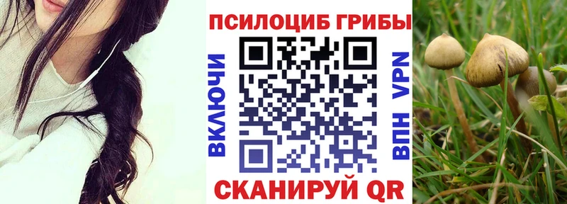 Галлюциногенные грибы мицелий  Старая Русса 